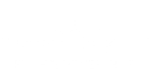 FlightsimWebshop